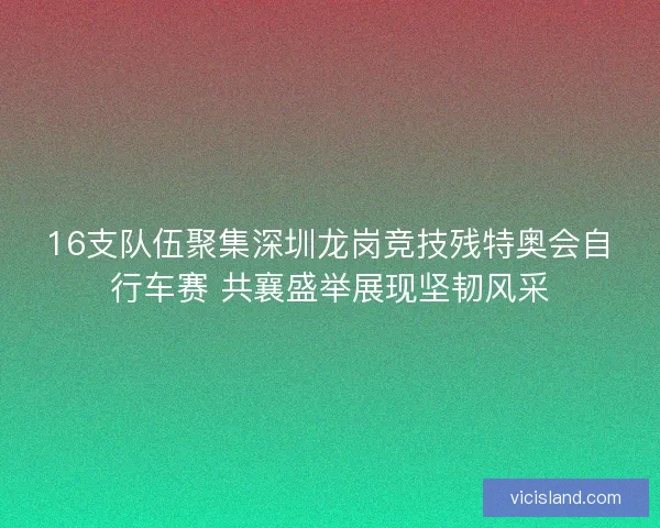 16支队伍聚集深圳龙岗竞技残特奥会自行车赛 共襄盛举展现坚韧风采