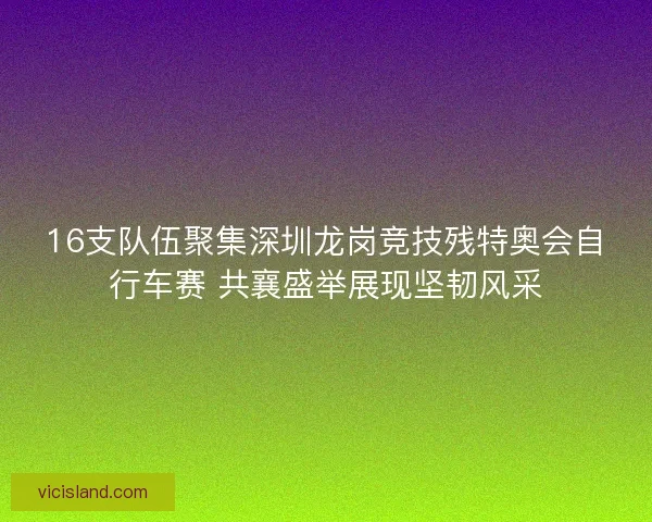 16支队伍聚集深圳龙岗竞技残特奥会自行车赛 共襄盛举展现坚韧风采