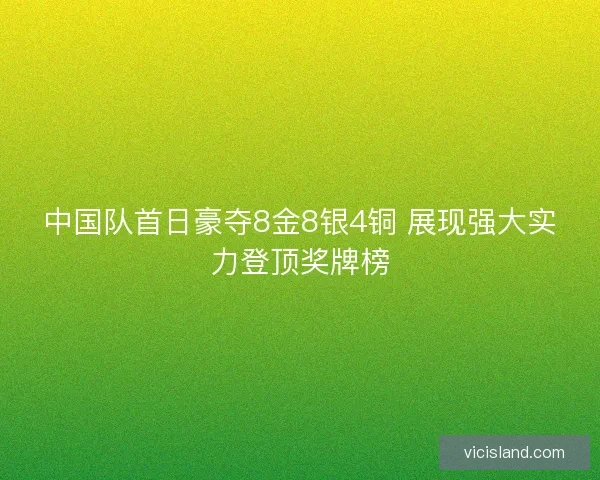 中国队首日豪夺8金8银4铜 展现强大实力登顶奖牌榜