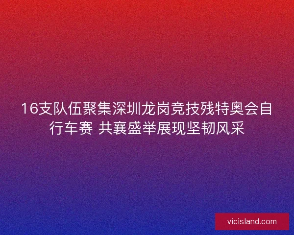 16支队伍聚集深圳龙岗竞技残特奥会自行车赛 共襄盛举展现坚韧风采 16支队伍聚集深圳龙岗竞技残特奥会自行车赛 共襄盛举展现坚韧风采