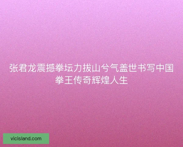张君龙震撼拳坛力拔山兮气盖世书写中国拳王传奇辉煌人生