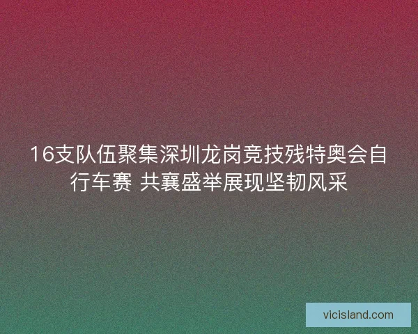 16支队伍聚集深圳龙岗竞技残特奥会自行车赛 共襄盛举展现坚韧风采 16支队伍聚集深圳龙岗竞技残特奥会自行车赛 共襄盛举展现坚韧风采